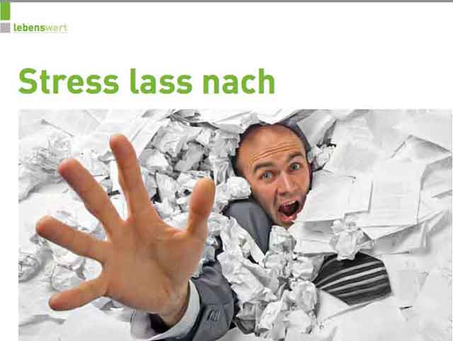 PDF: Stress lass nach! erschienen in Phoenix